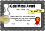 Gold Medal Diploma