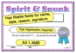 Spirit Attitude Certificate