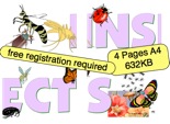 Insects Banner